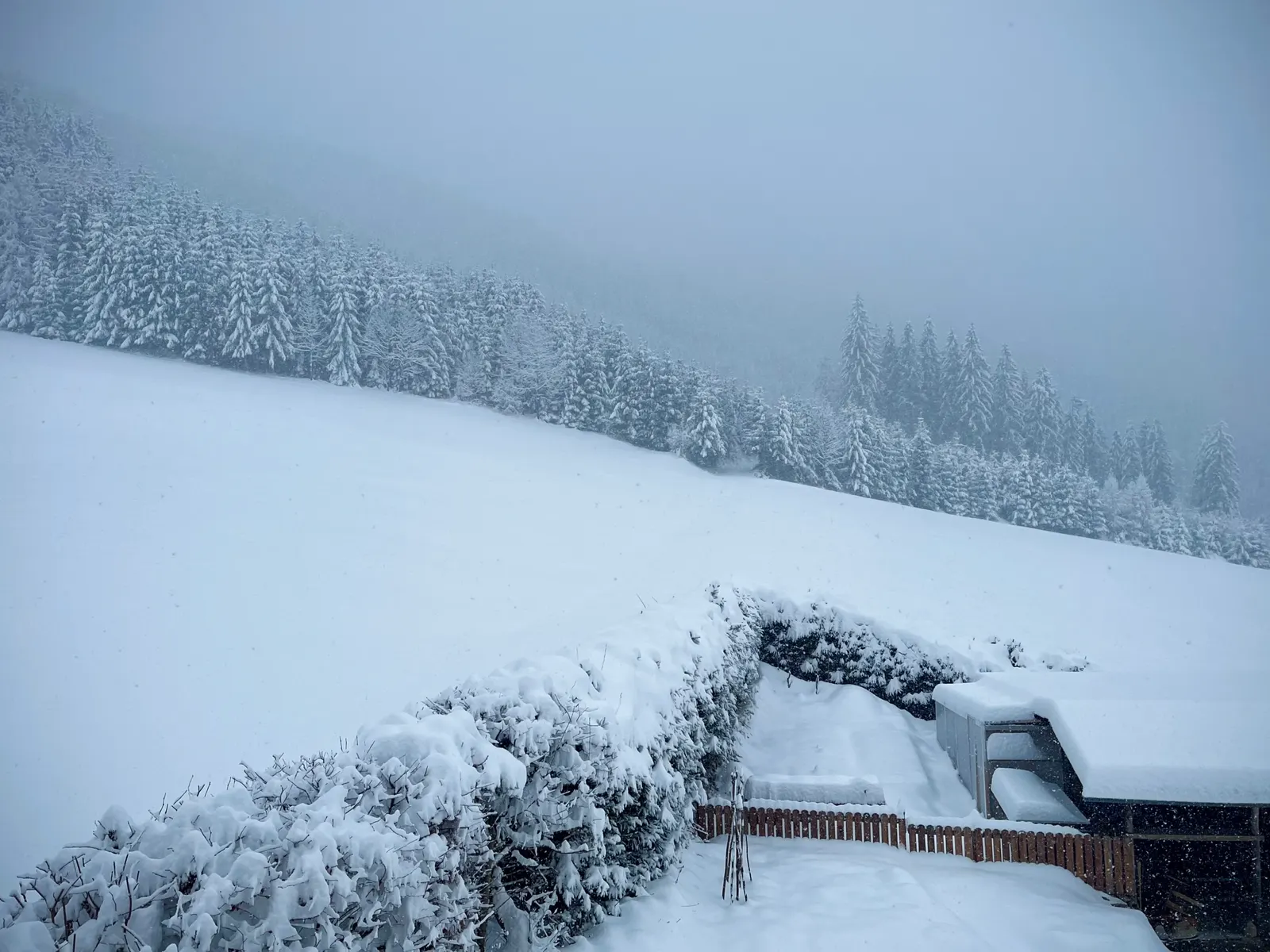 Good tea for a snow storm.
